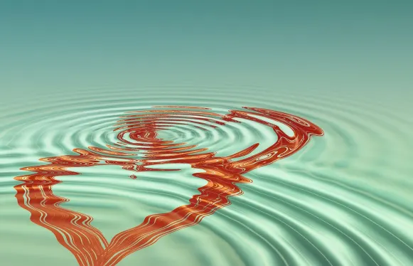 잭998 카지노 지원